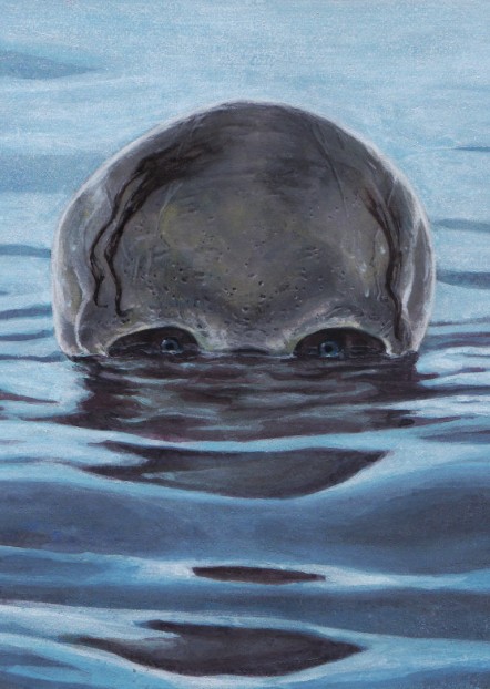 paitning of a skull with eyeballs half submurged into a body of water, looking at the viewer. It has a few strains of wet hair in an otherwise bald skull.